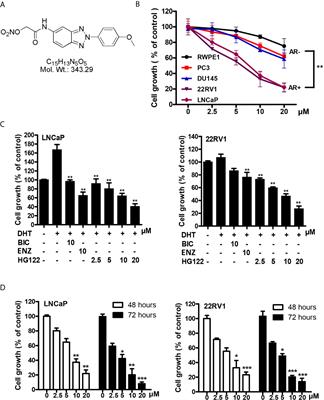 Regression of Castration-Resistant Prostate Cancer by a Novel Compound HG122